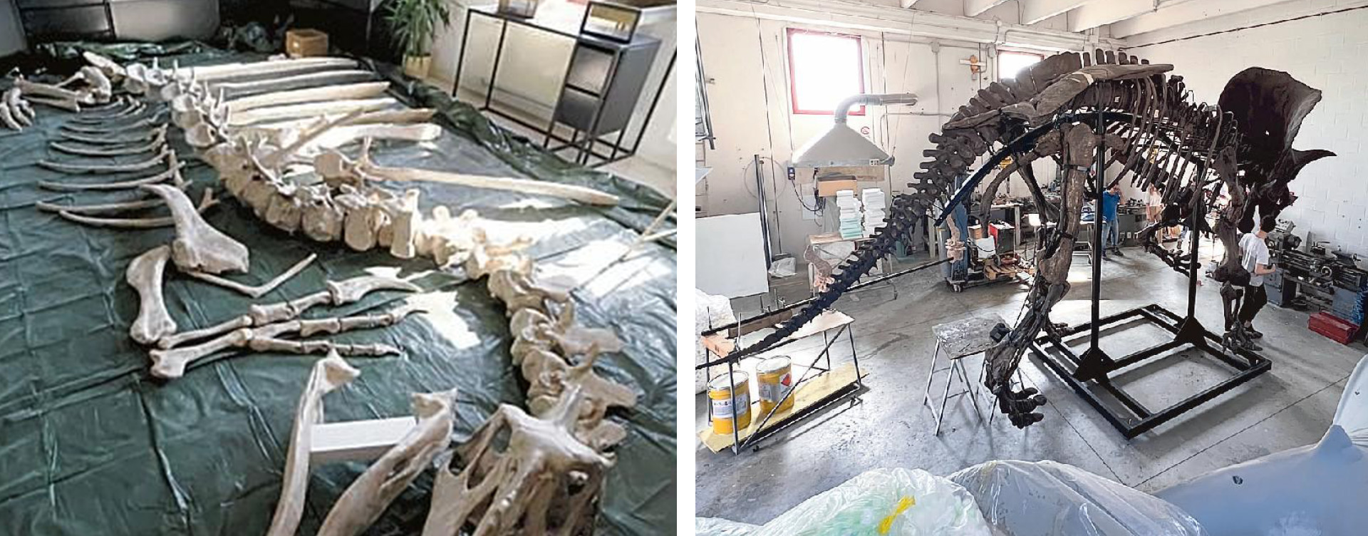 La realizzazione di Willard